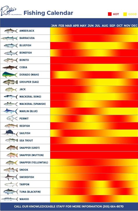 Islamorada Fishing Calendar